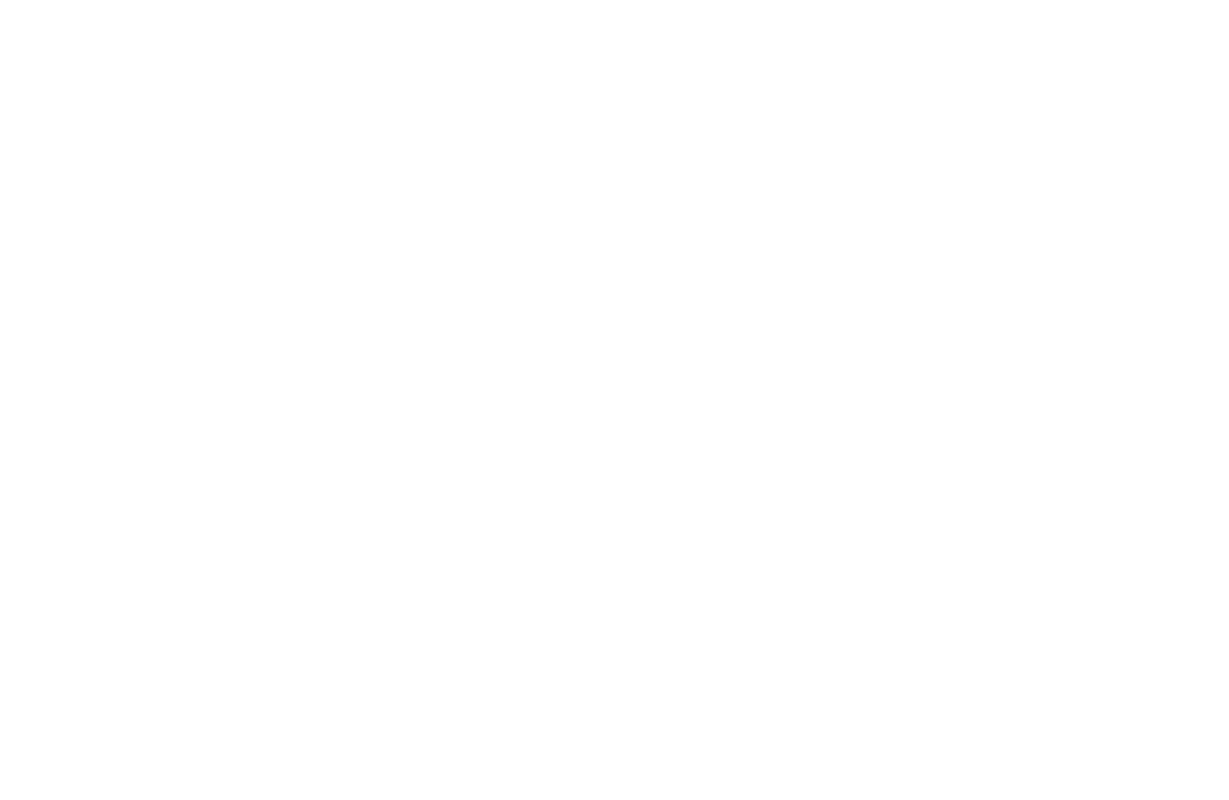 EZ Car Protect
